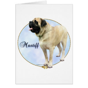 Fawn Mastiff Porträtt Hälsningskort