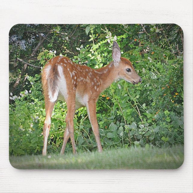 Fawn Mousepad Musmatta (Framsidan)