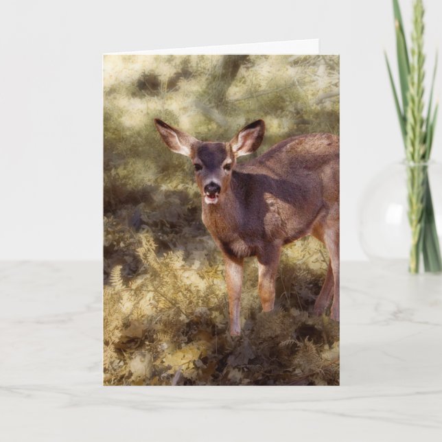 Fawn-/Ohhjort Kort (Framsida)