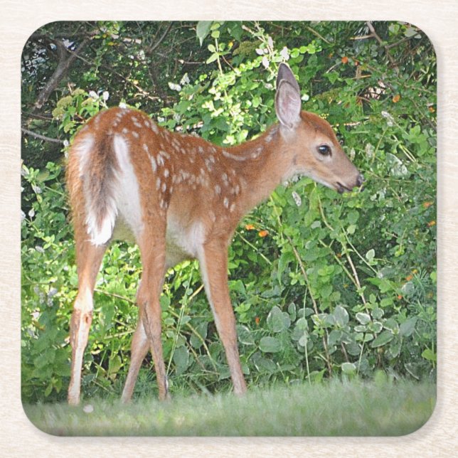 Fawn Party Underlägg Papper Kvadrat (Framsidan)