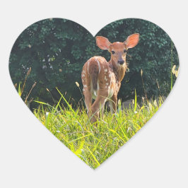 Fawn Permanent in the Grass Hjärtformat Klistermärke
