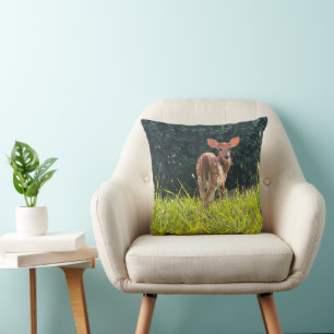 Fawn Permanent in the Grass Kudde
