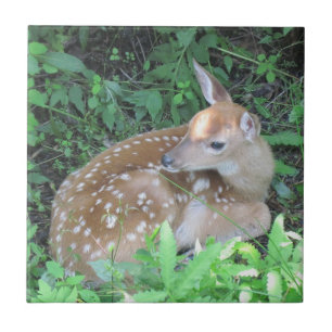 Fawn Trivet Kakelplatta