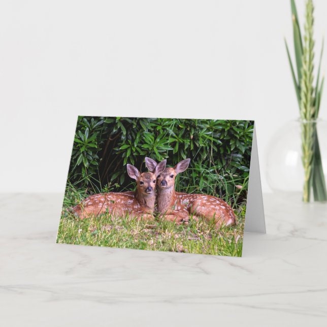 Fawn Twillingars - Pender Island BC Kort (Framsida)