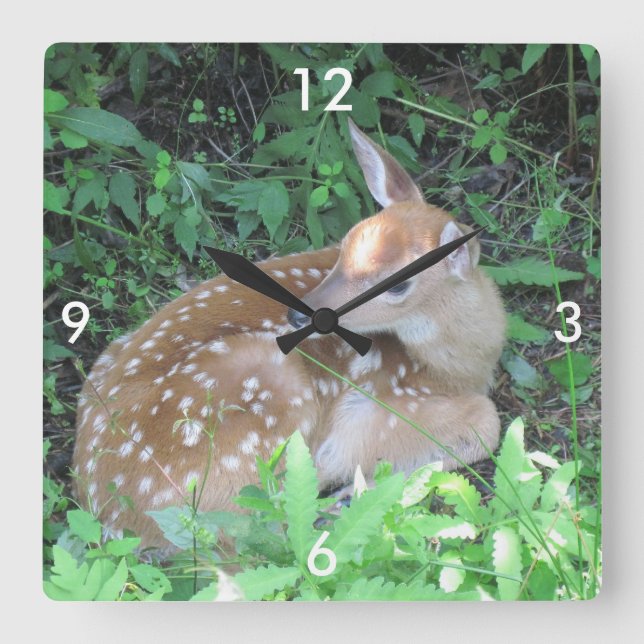 Fawn Wall Clock Fyrkantig Klocka (Framsida)