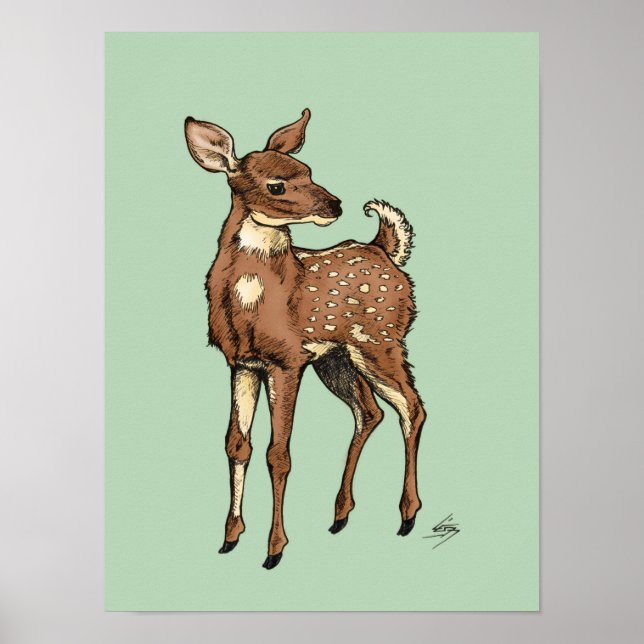 Fawn with Mint-bakgrund Poster (Framsidan)