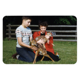 Fawns, Baby Hjort Magnet