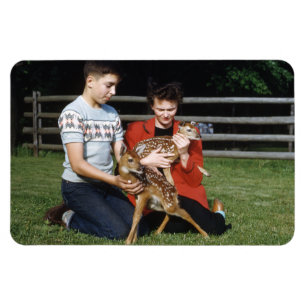 Fawns, Baby Hjort Magnet