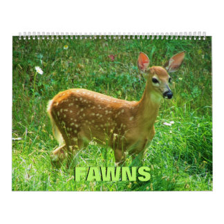 Fawns Calendar Kalender