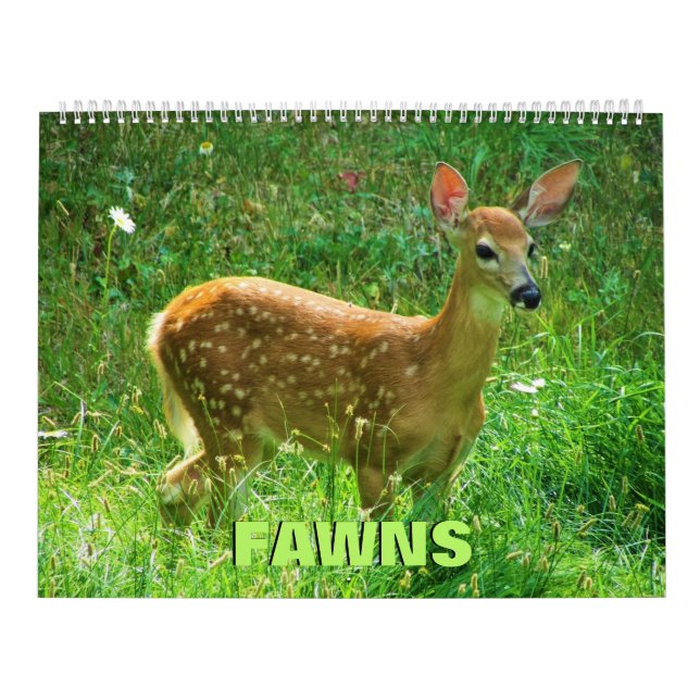 Fawns Calendar Kalender (Omslag)