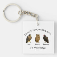 FDT försvarar mångfalden fet Påstående