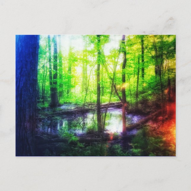 fe fenkort vykort (Framsida)