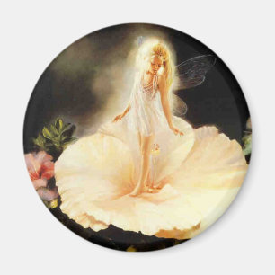 Fe Magnet