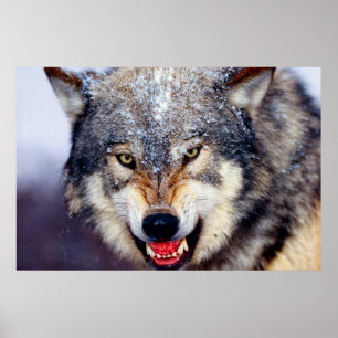 Fearsome Varg Poster