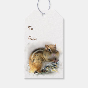 Feasting Chipmunk Pack of Gift Märkres Presentetikett