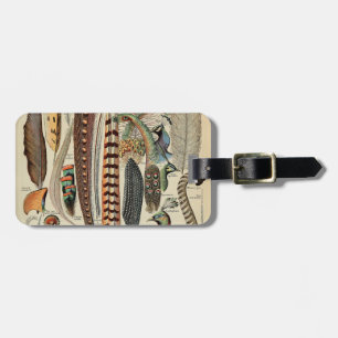Feather Bird Wildlife Antique Feathers Bagagebricka