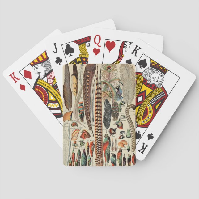 Feather Bird Wildlife Antique Feathers Casinokort (Baksidan)
