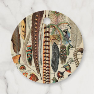 Feather Bird Wildlife Antique Feathers Gåvor Etiketter
