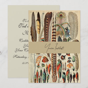 Feather Bird Wildlife Antique Feathers Inbjudningar