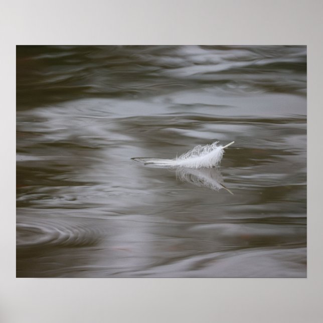 feather on the water poster (Framsidan)