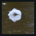 Feather on the water poster<br><div class="desc">Feather on the water,  Delaware River,  South Jersey</div>