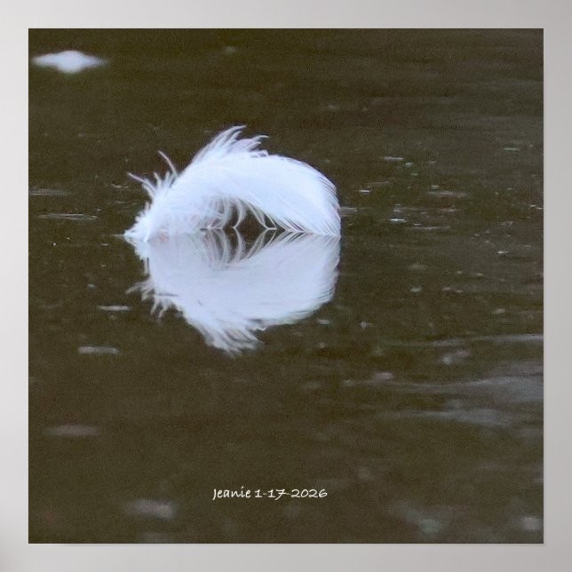 Feather on the water poster (Framsidan)