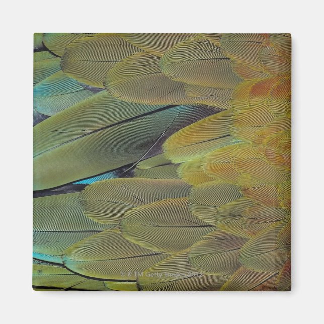 Feather yta magnet (Framsidan)