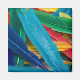 Featherly magnet