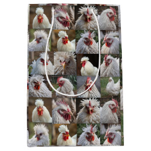 "Feathers in Focus: A White Chicken's Porträtt"
