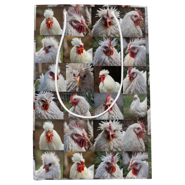 "Feathers in Focus: A White Chicken's Porträtt" (Framsidan)