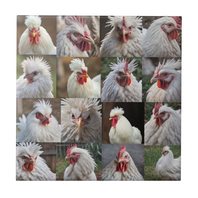 "Feathers in Focus: A White Chicken's Porträtt" Kakelplatta (Framsidan)