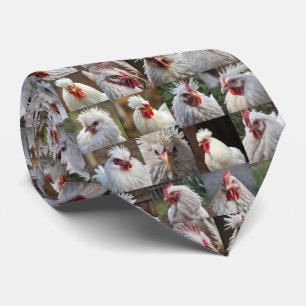 "Feathers in Focus: A White Chicken's Porträtt" Slips