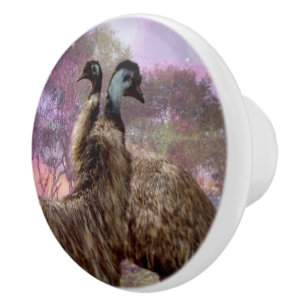 "Feathers of Romantik: the Courtship of the Emus" Knopp