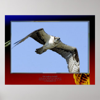 Feathery Eyeball Poster