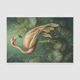 Feathery Flamingo , Muren botaniska