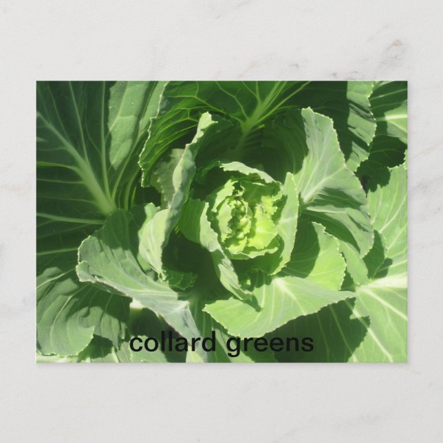 feb 28 193, gröntar vykort (Framsida)