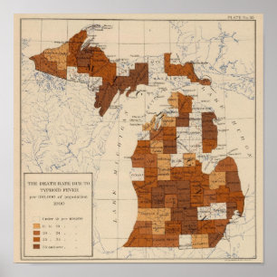 Feber Michigan för tyfus 110 Poster