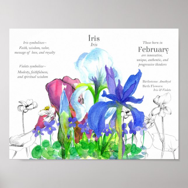 Februari Birthday Iris Birth Month Flower Violits Poster (Framsidan)