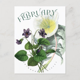 Februari Flowers Primrose och Violet Finare Vykort