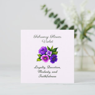 februari Födelsemånad Flower Violet Delicate Blomm