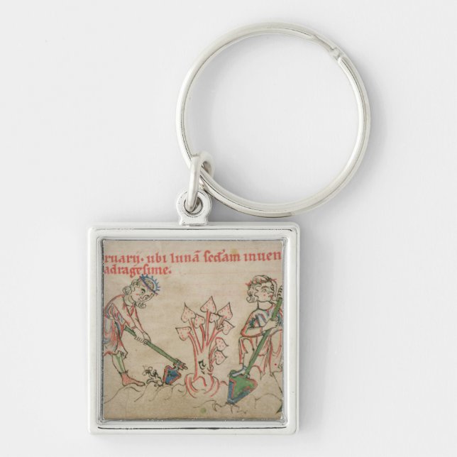 Februari: hoeing fyrkantig silverfärgad nyckelring (Framsidan)