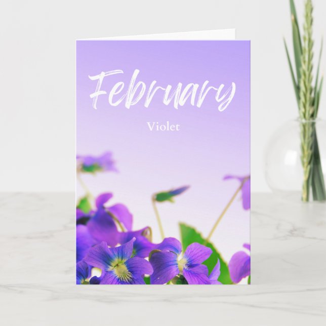 Februari Lila Violet Birth Month Flower Birthday Kort (Framsida)