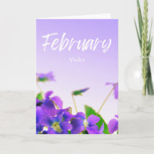 Februari Lila Violet Birth Month Flower Birthday
