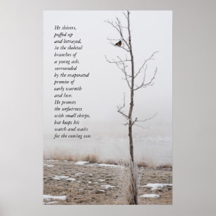 Februari Robin Nature Poster med Dikt