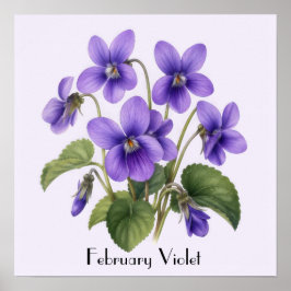 Februari Violetta Blommor Poster