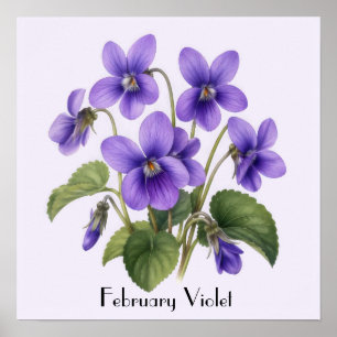 Februari Violetta Blommor Poster