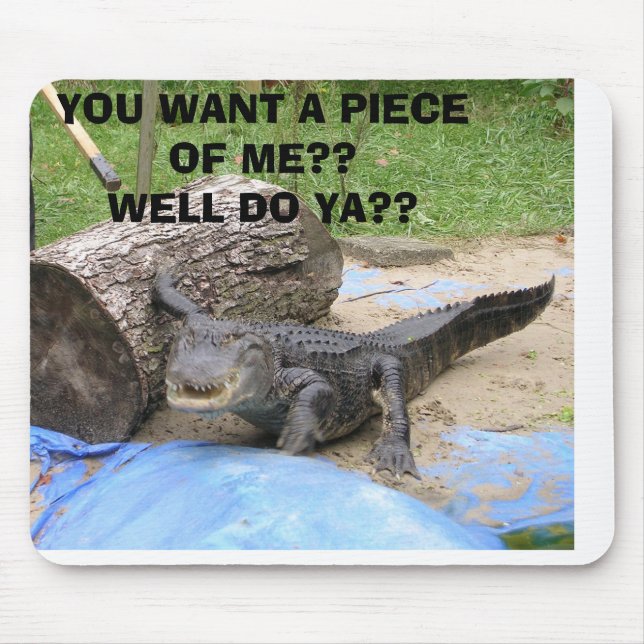 feddings 005, ÖNSKAR DU ETT BIET AV MIG?? BRUNNEN Musmatta (Framsidan)