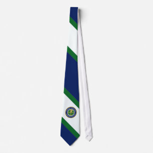 Federal Aviation Agency Diagonal Stripe Tie Slips