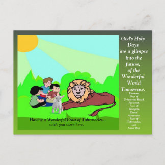 Feed Greating Card Vykort