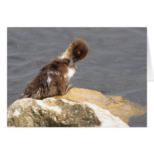 Feelin'Ducky - Duckling Get well Card Hälsningskort